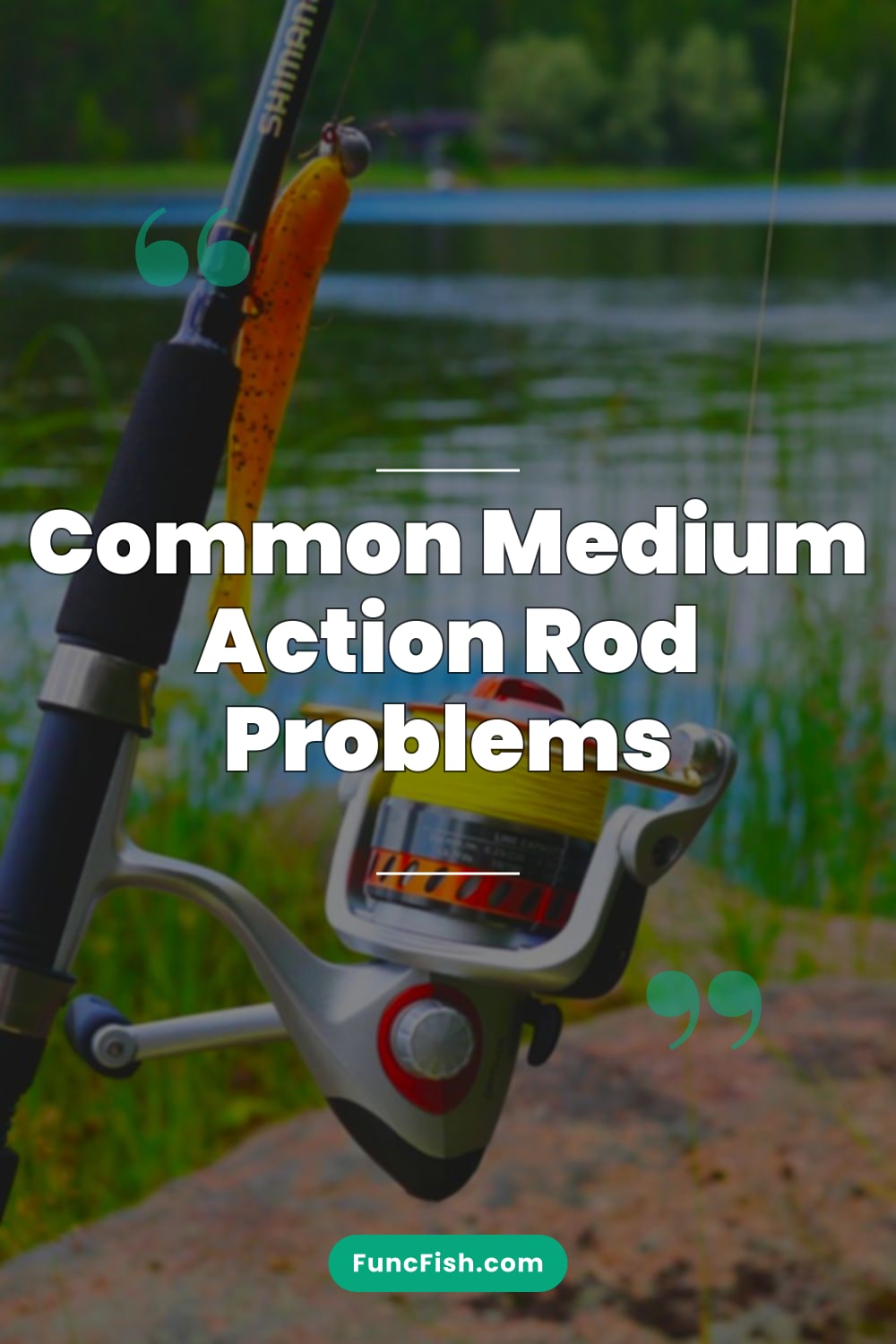 Common Medium Action Rod Problems
