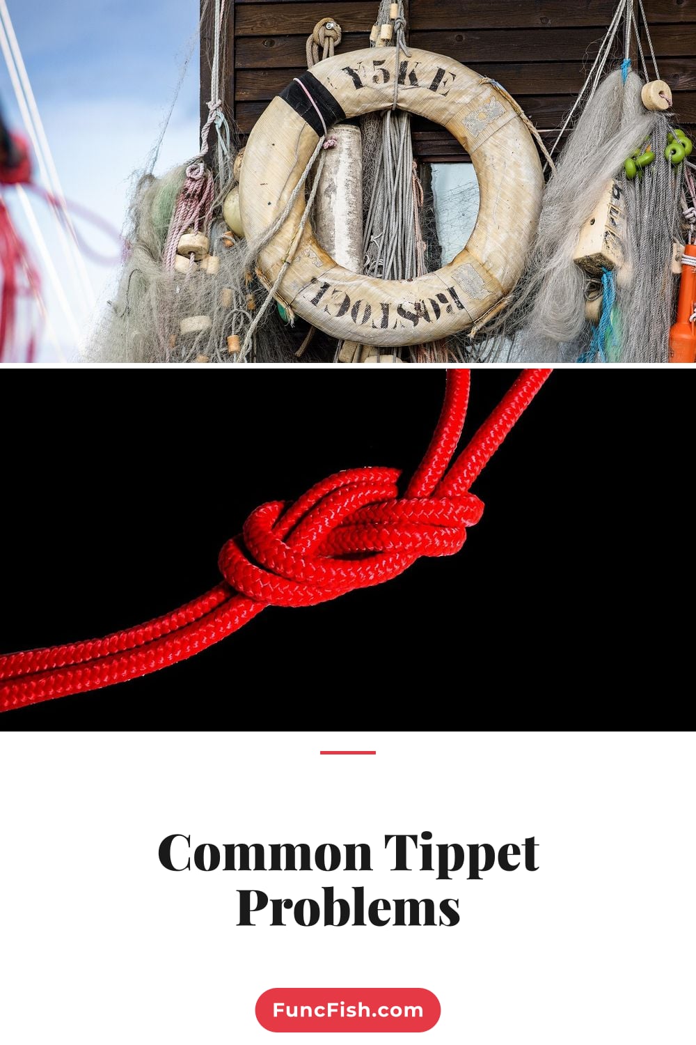 Common Tippet Problems Common Tippet Problems