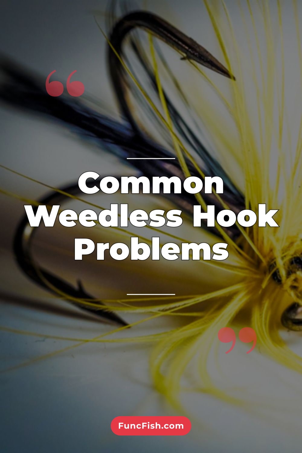 Common Weedless Hook Problems Common Weedless Hook Problems