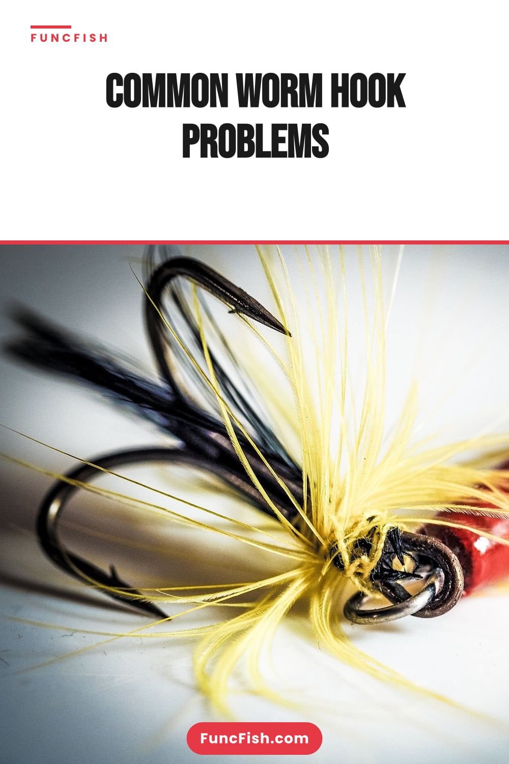 Common Worm Hook Problems Common Worm Hook Problems