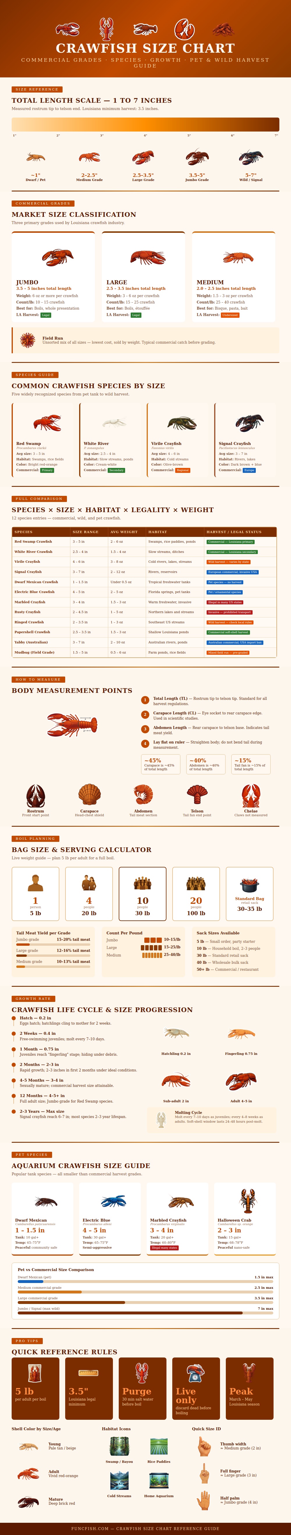 Crawfish Size Chart