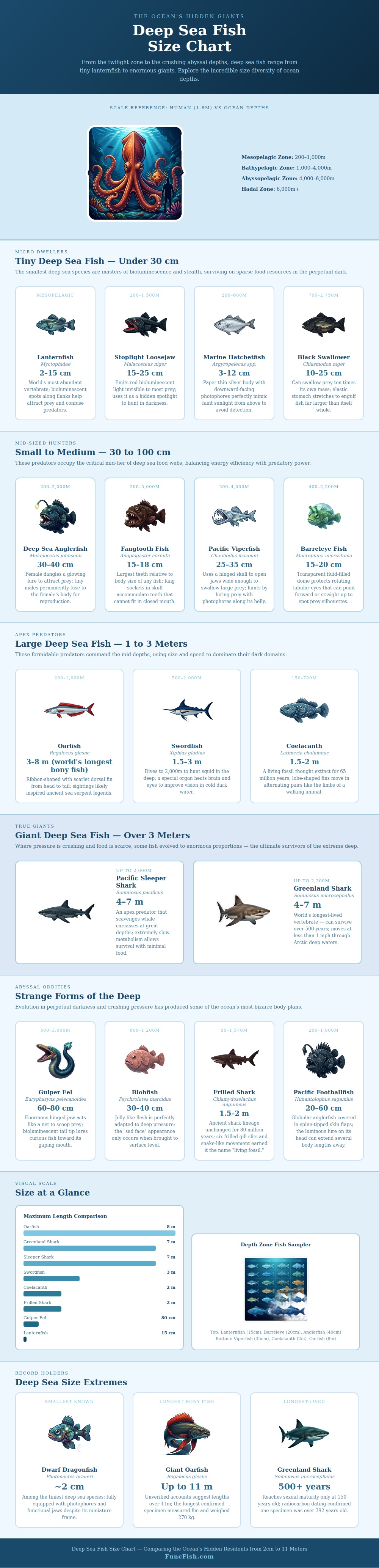 Deep Sea Fish Size Chart