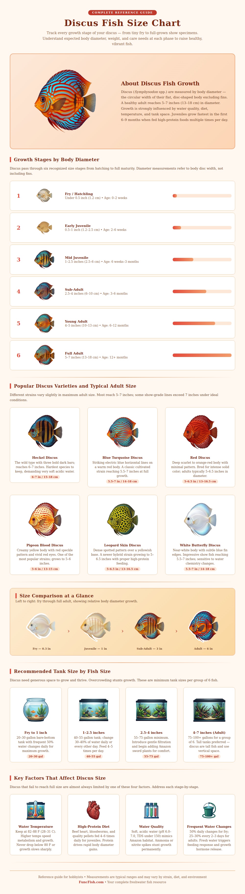Discus Fish Size Chart