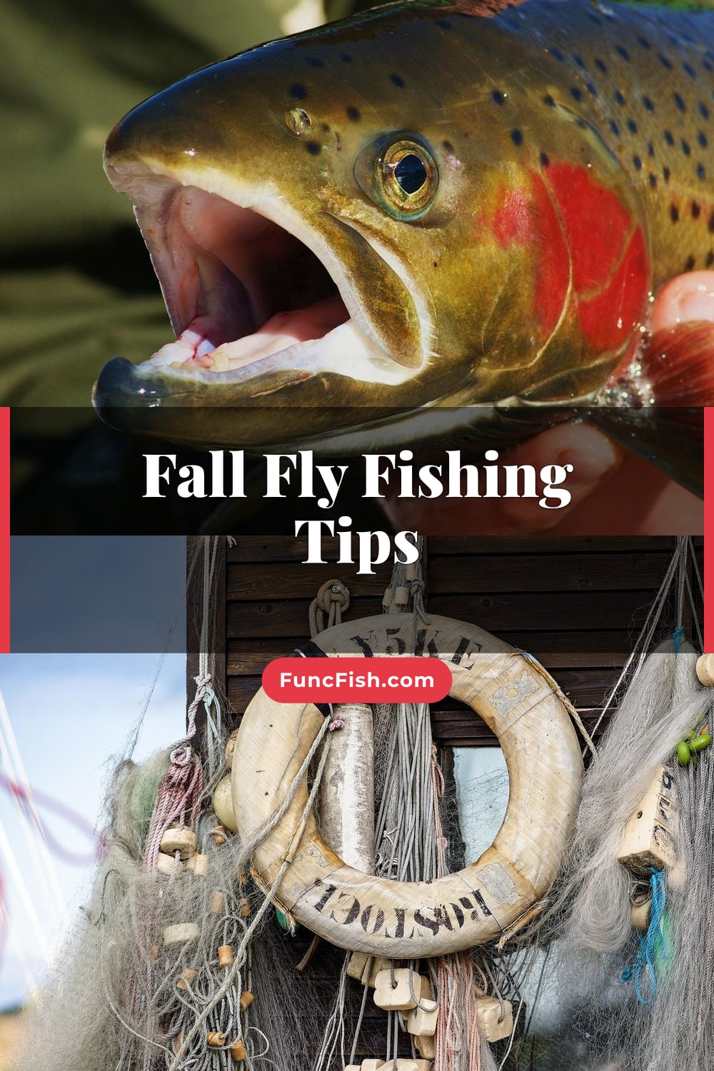 Fall Fly Fishing Tips