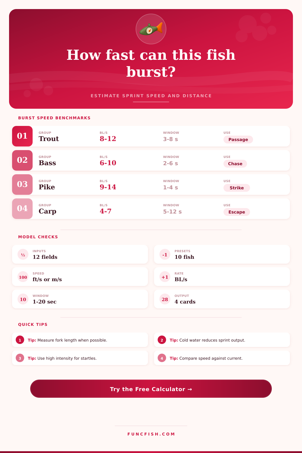 Fish Burst Speed Estimator