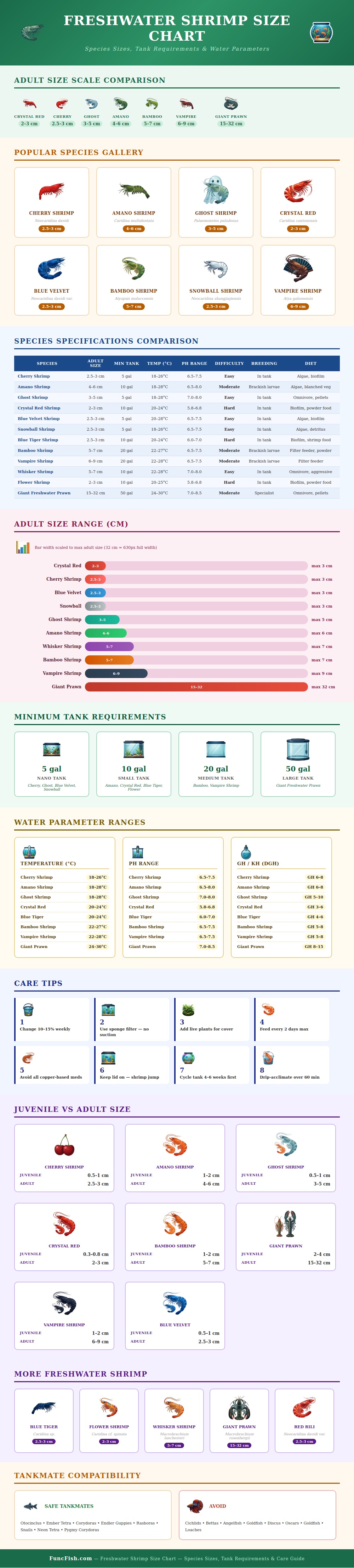 Freshwater Shrimp Size Chart