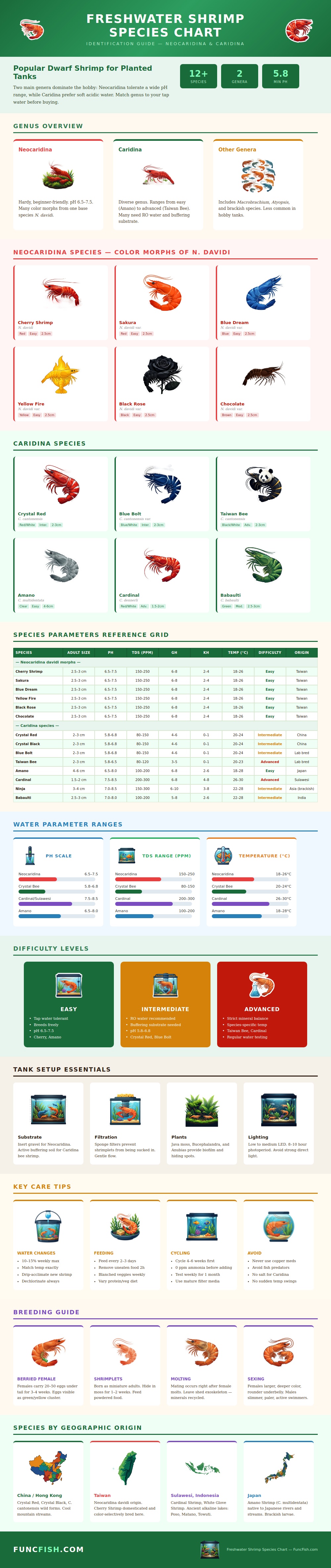 Freshwater Shrimp Species Chart