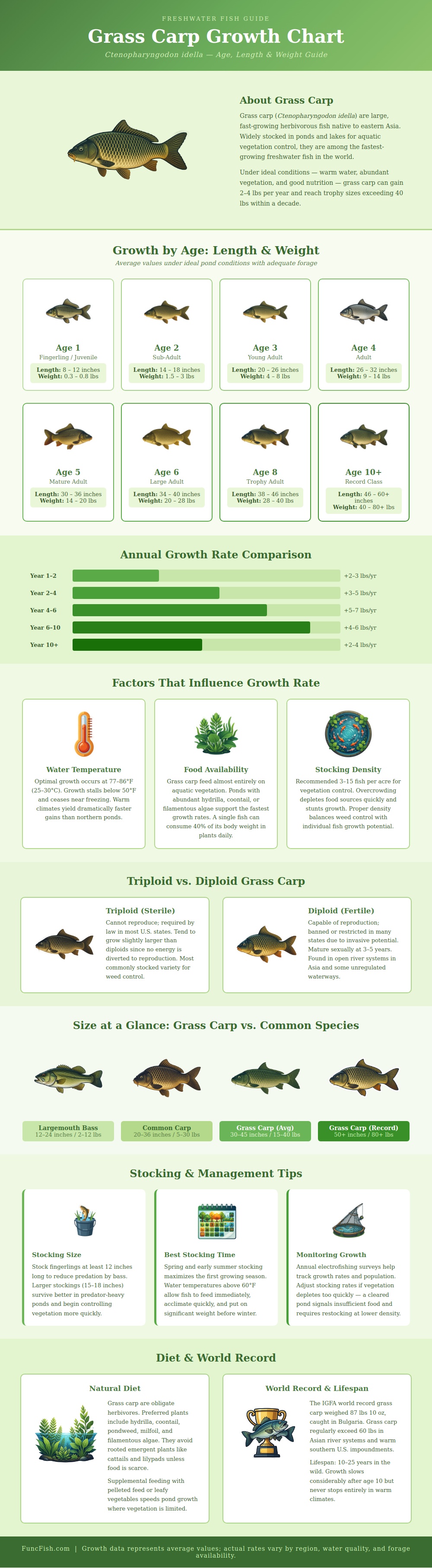 Grass Carp Growth Chart