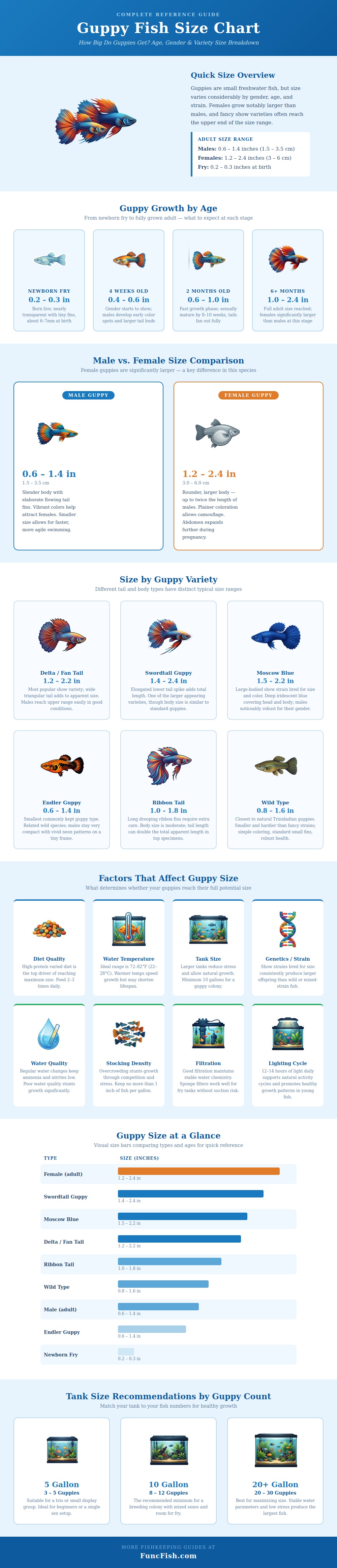 Guppy Fish Size Chart