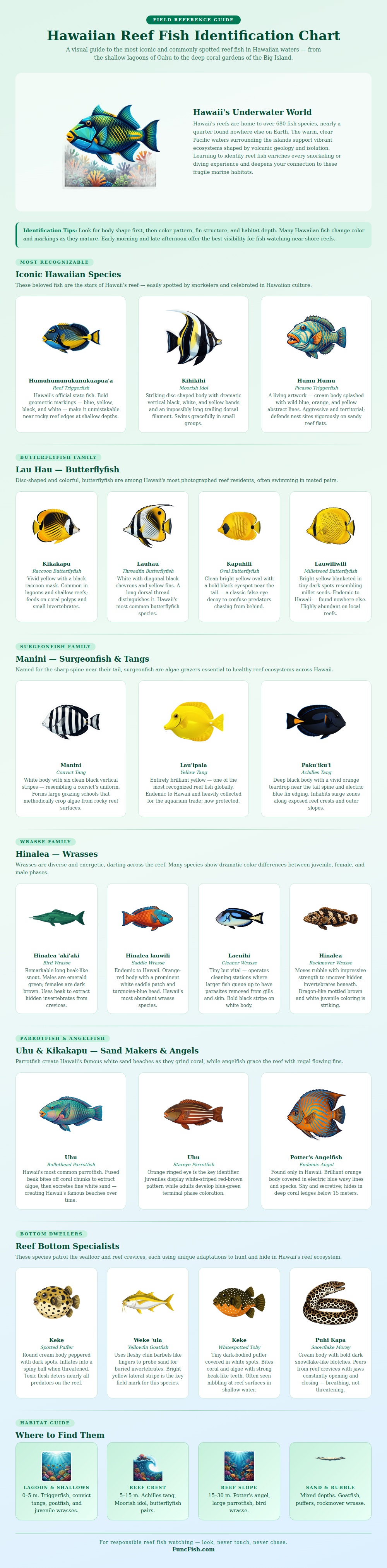Hawaiian Reef Fish Identification Chart