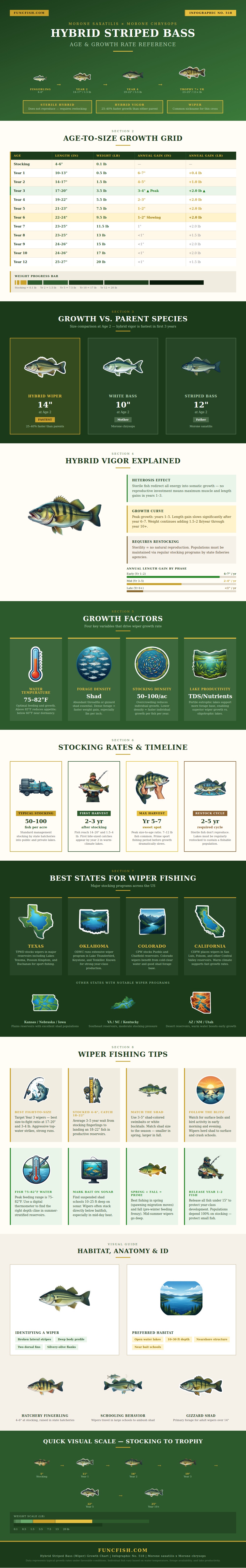Hybrid Striped Bass Growth Chart