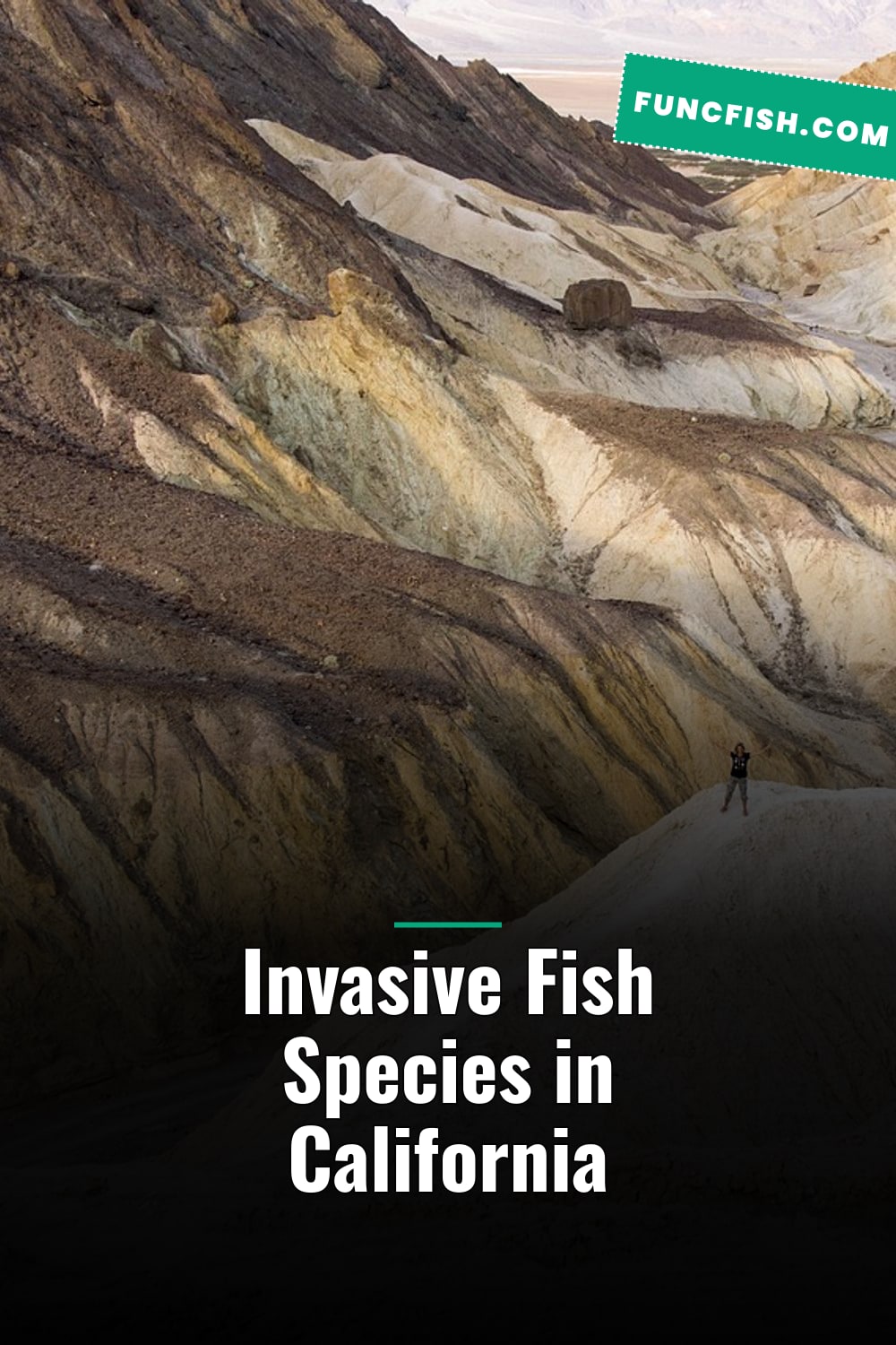 Invasive Fish Species in California