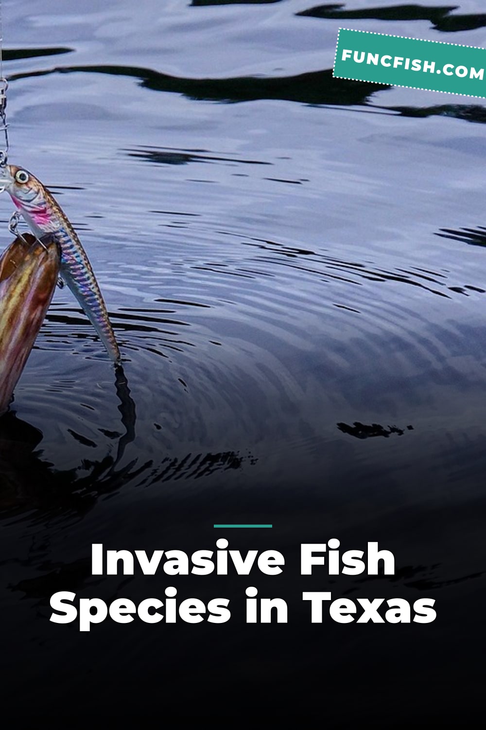 Invasive Fish Species in Texas Invasive Fish Species in Texas