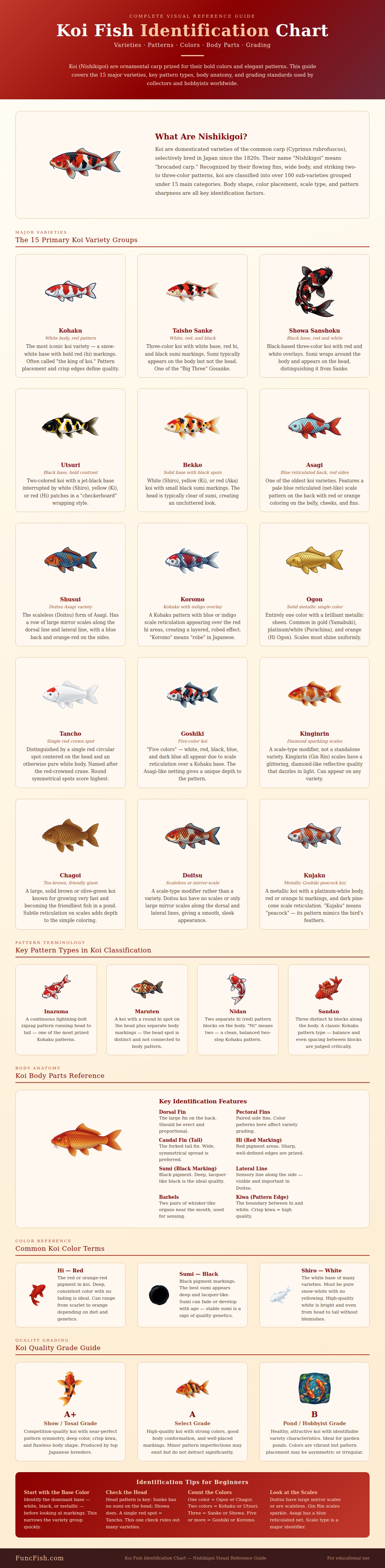 Koi Fish Identification Chart