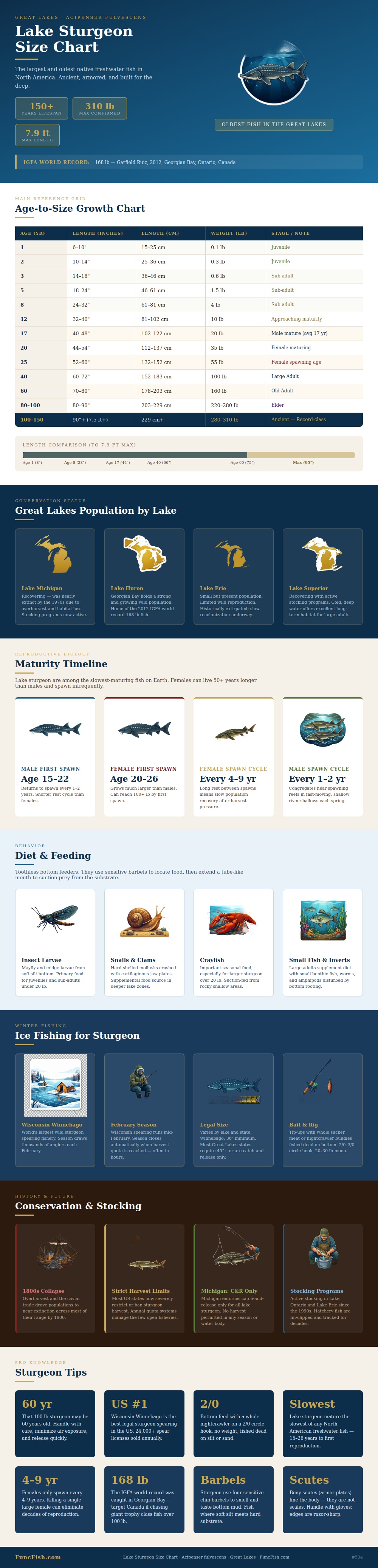 Lake Sturgeon Size Chart