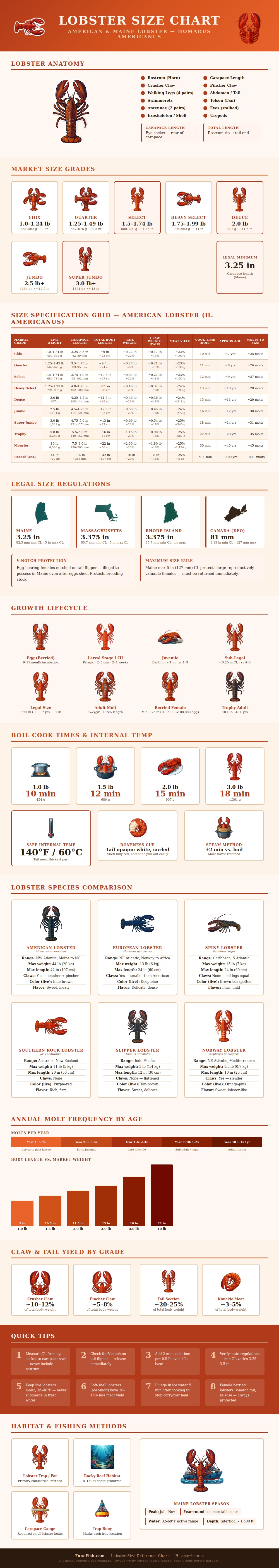 Lobster Size Chart
