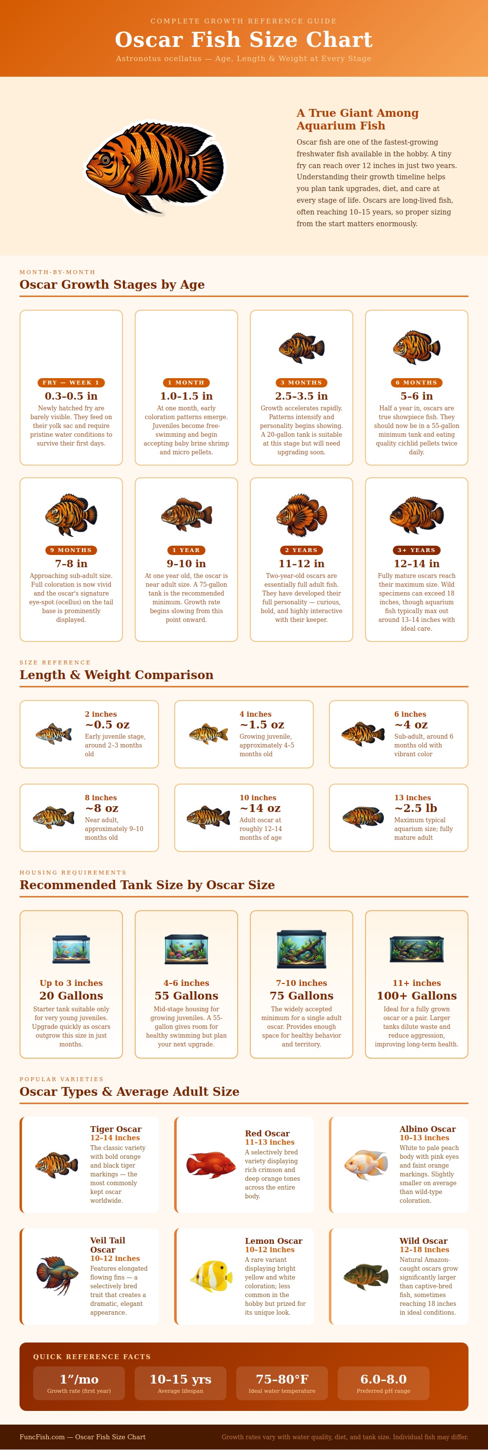 Oscar Fish Size Chart