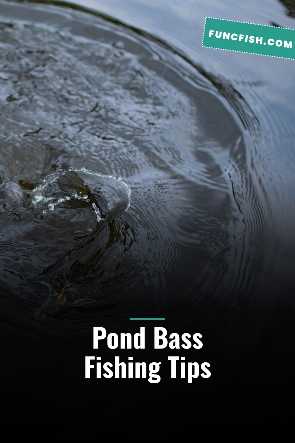 Pond Bass Fishing Tips Pond Bass Fishing Tips
