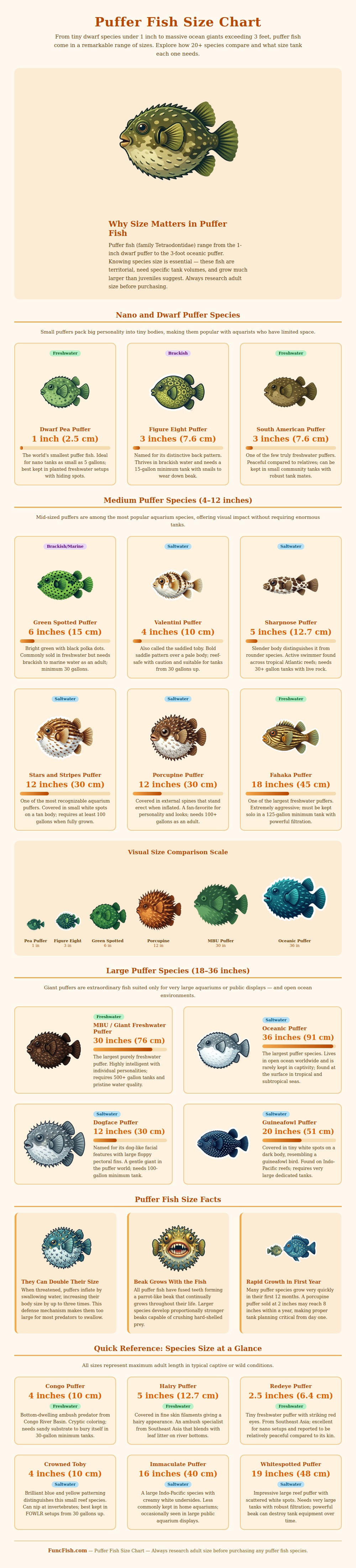 Puffer Fish Size Chart