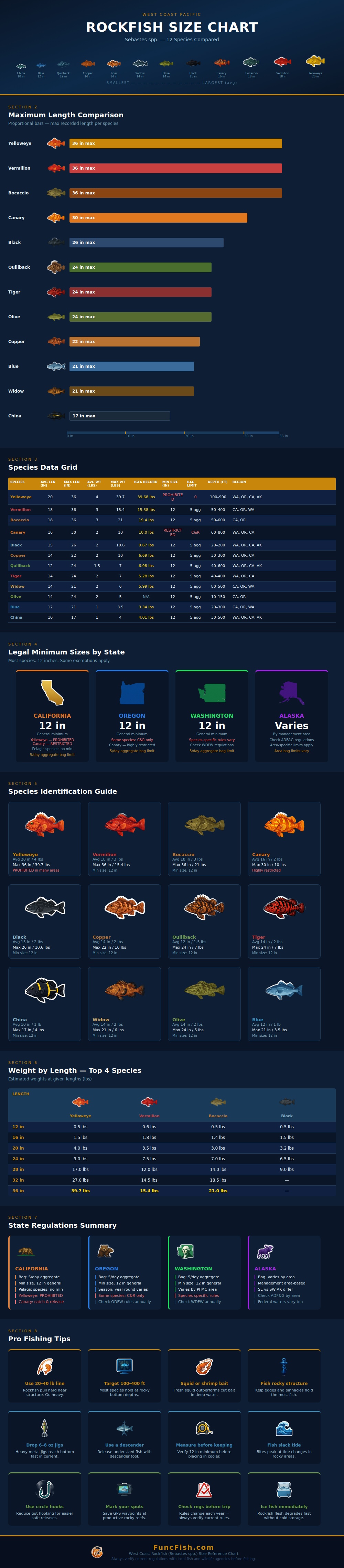 Rockfish Size Chart