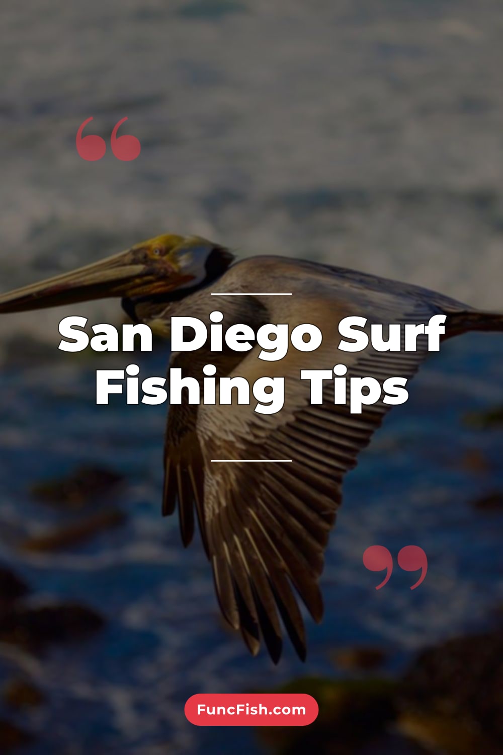 San Diego Surf Fishing Tips San Diego Surf Fishing Tips