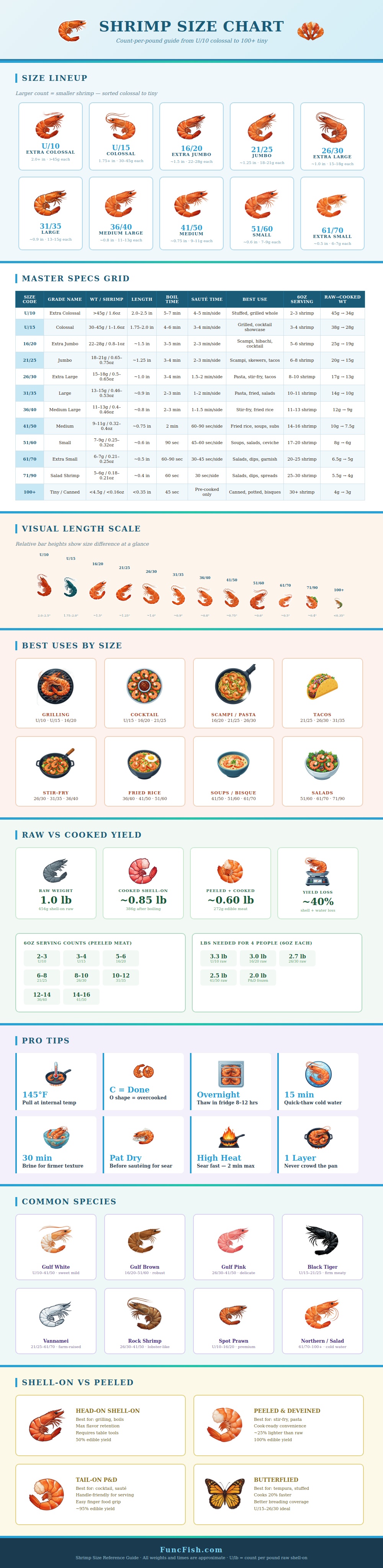 Shrimp Size Chart