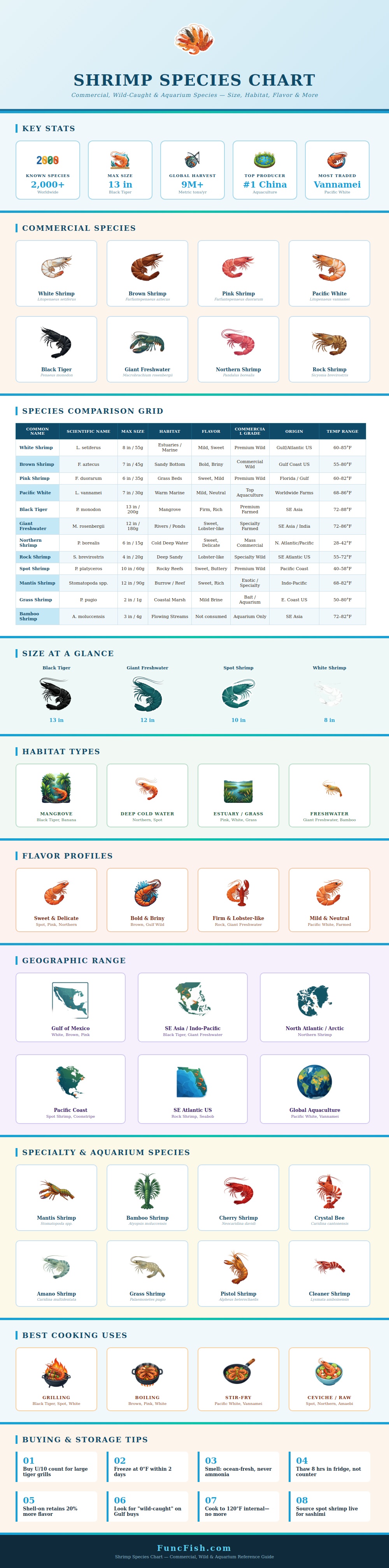 Shrimp Species Chart