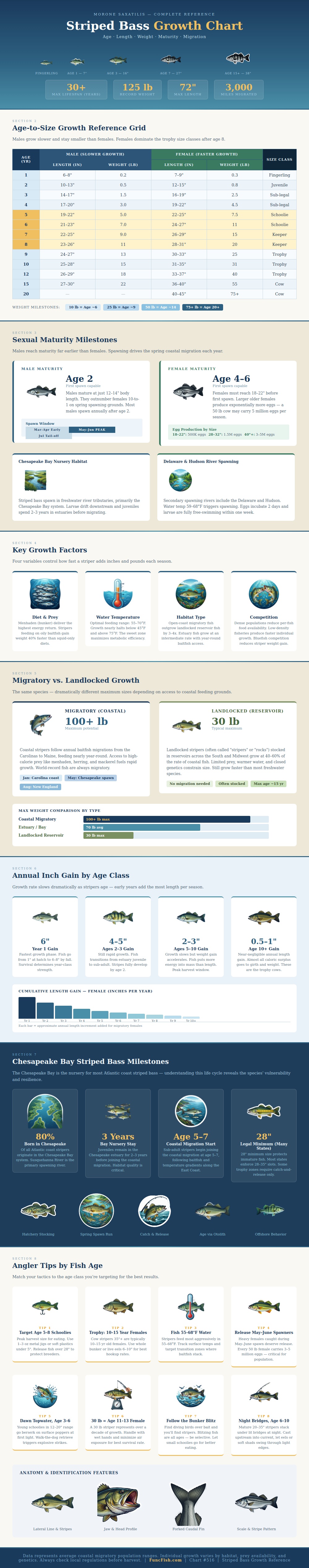 Striped Bass Growth Chart