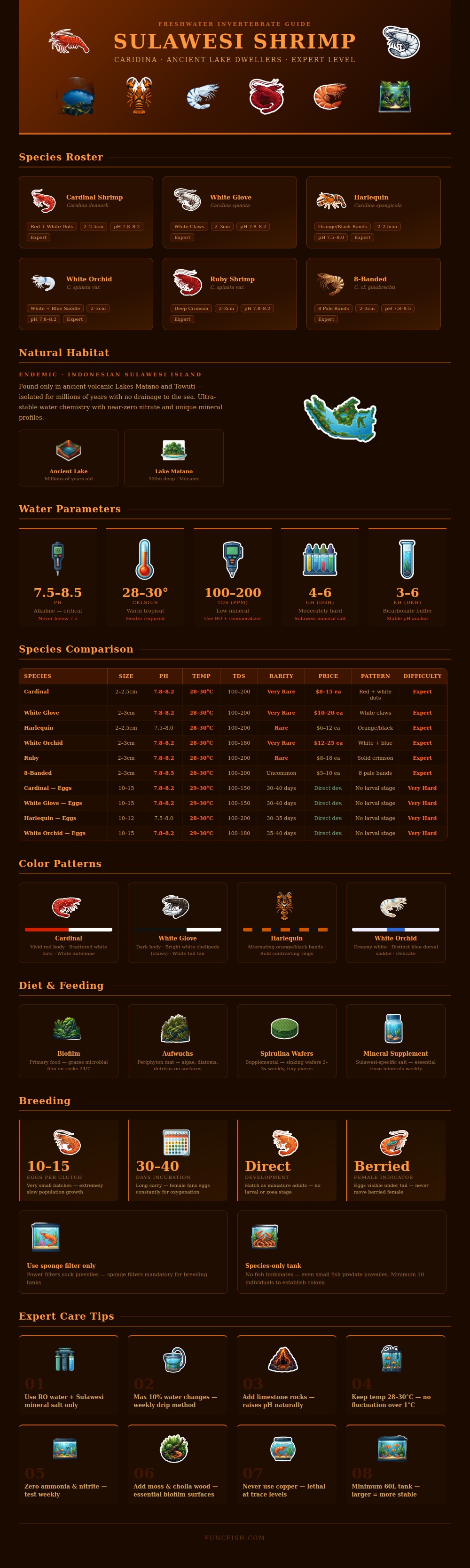 Sulawesi Shrimp Chart