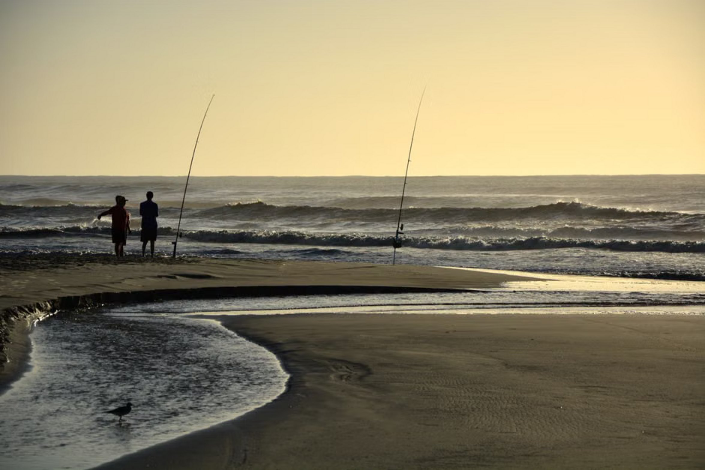 surf fishing rod beach surf fishing rod beach