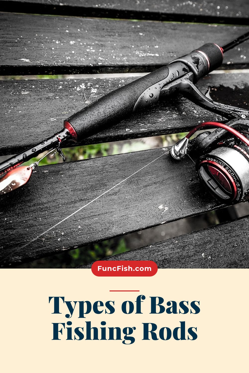Types of Bass Fishing Rods