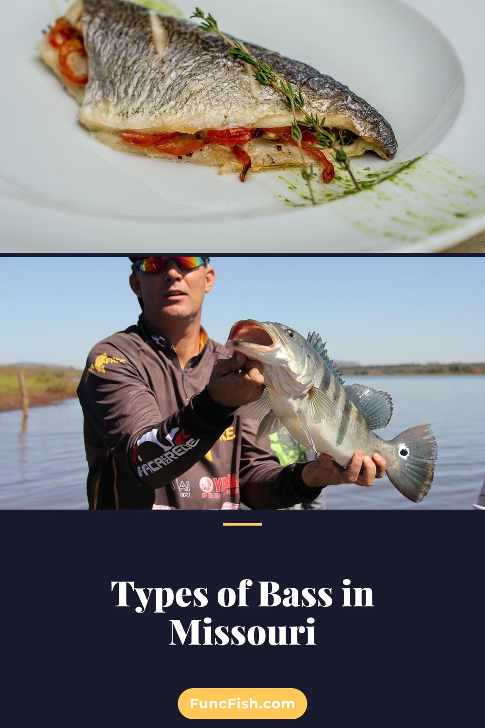 Types of Bass in Missouri Types of Bass in Missouri