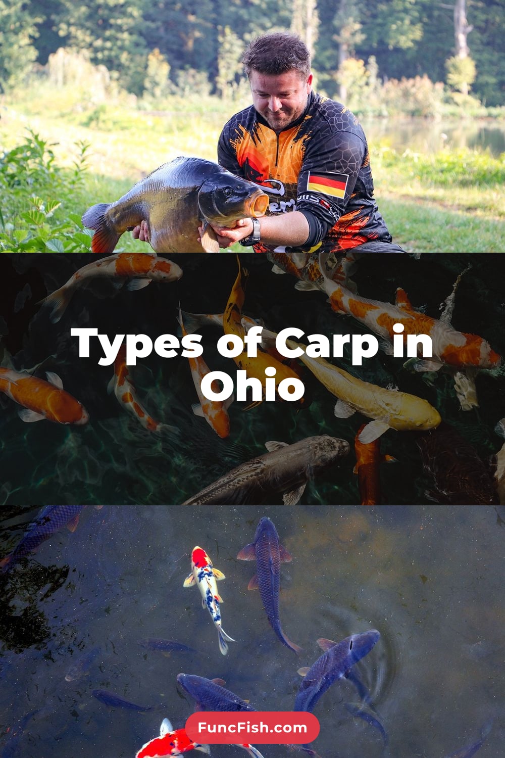 Types of Carp in Ohio