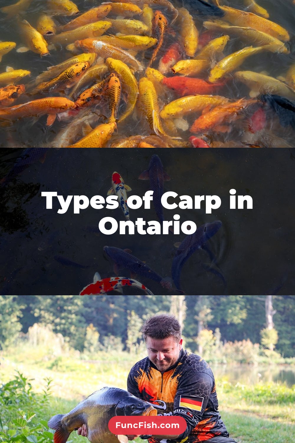 Types of Carp in Ontario Types of Carp in Ontario