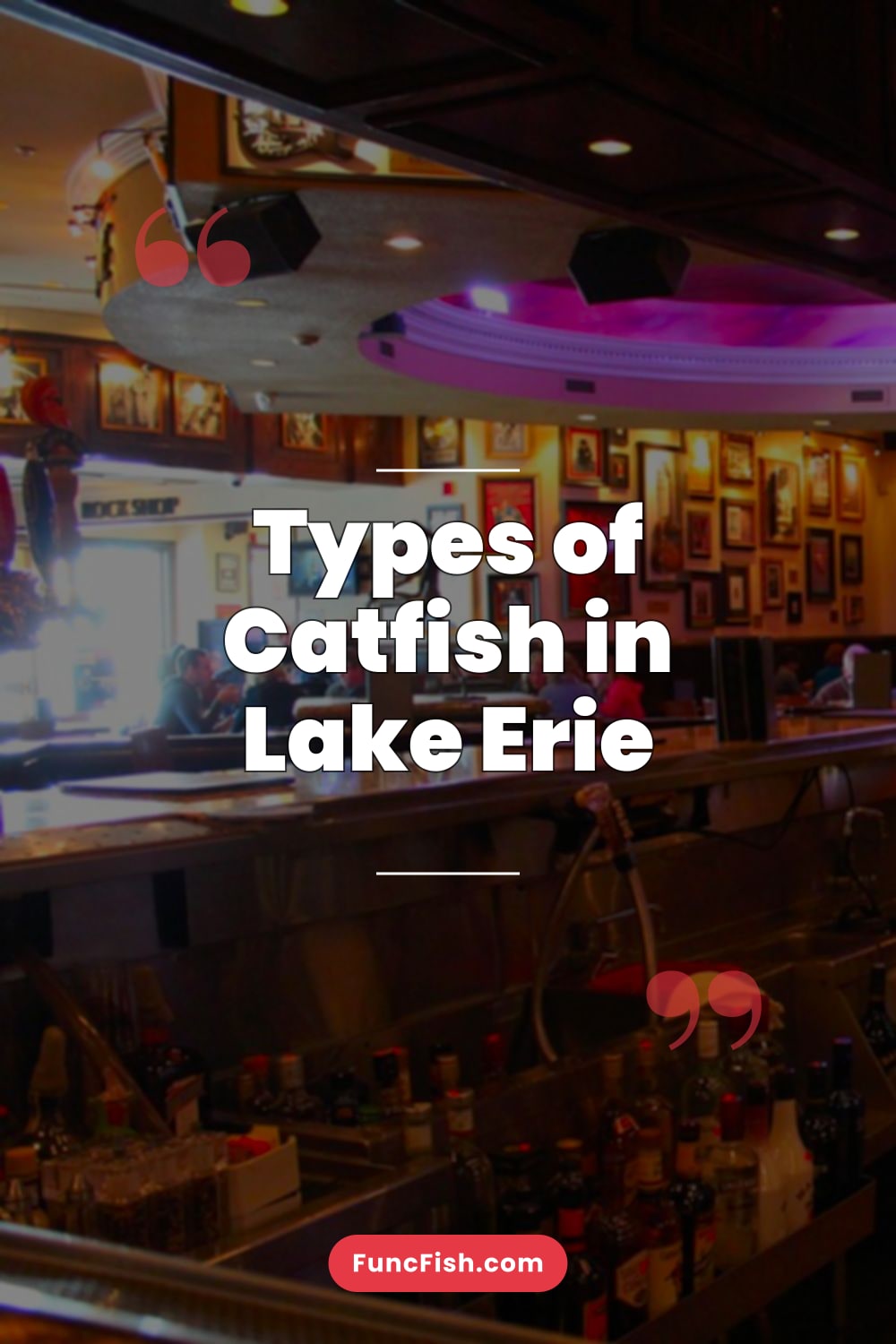 Types of Catfish in Lake Erie Types of Catfish in Lake Erie