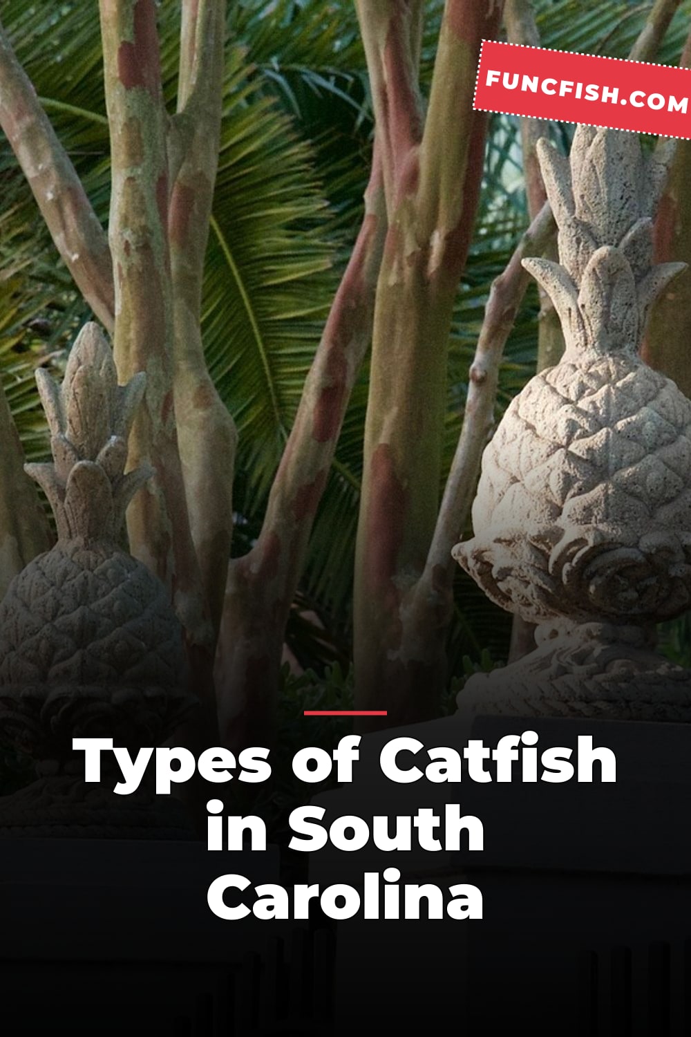 Types of Catfish in South Carolina Types of Catfish in South Carolina