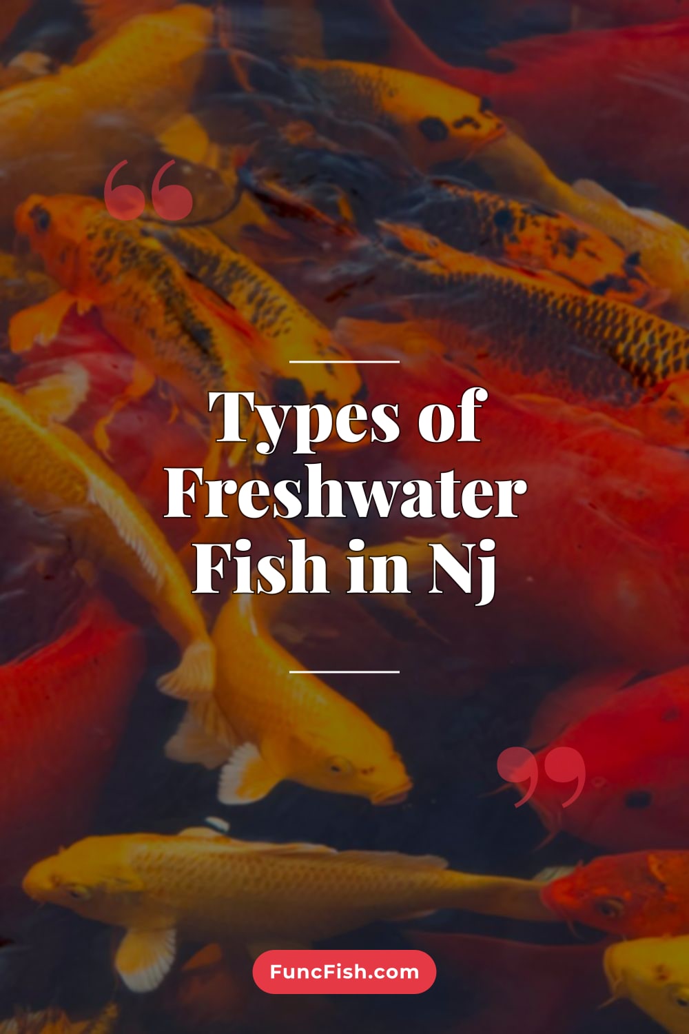 Types of Freshwater Fish in Nj