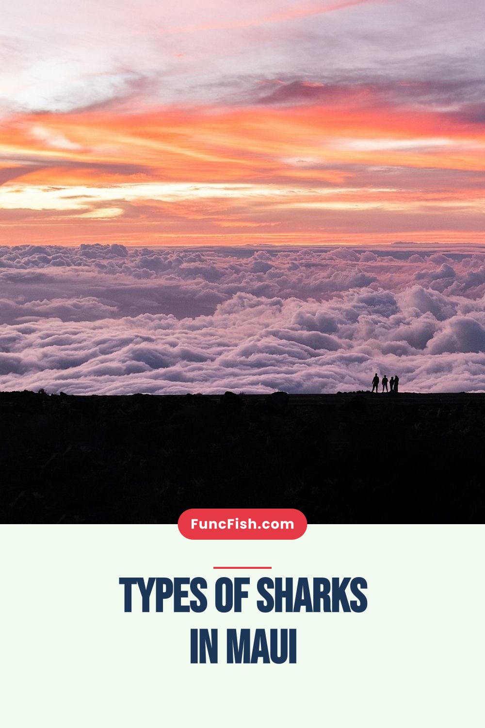 Types of Sharks in Maui