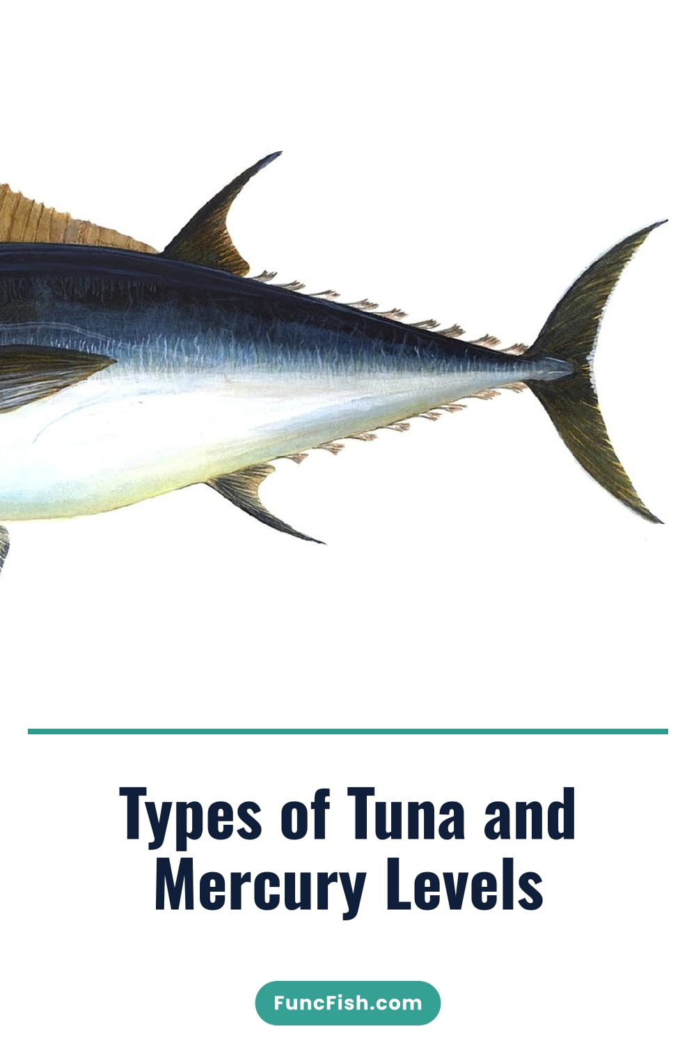 Types of Tuna and Mercury Levels