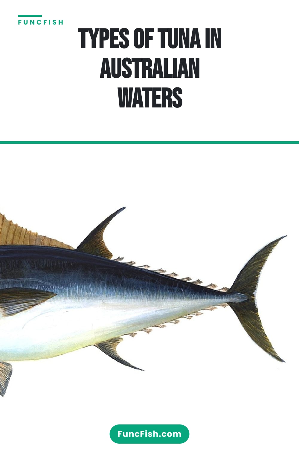 Types of Tuna in Australian Waters