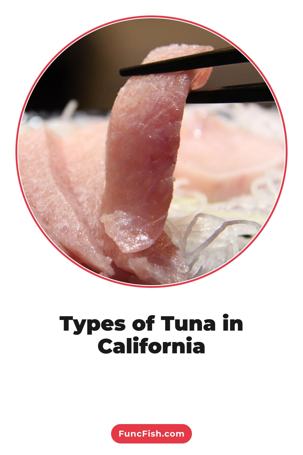Types of Tuna in California Types of Tuna in California