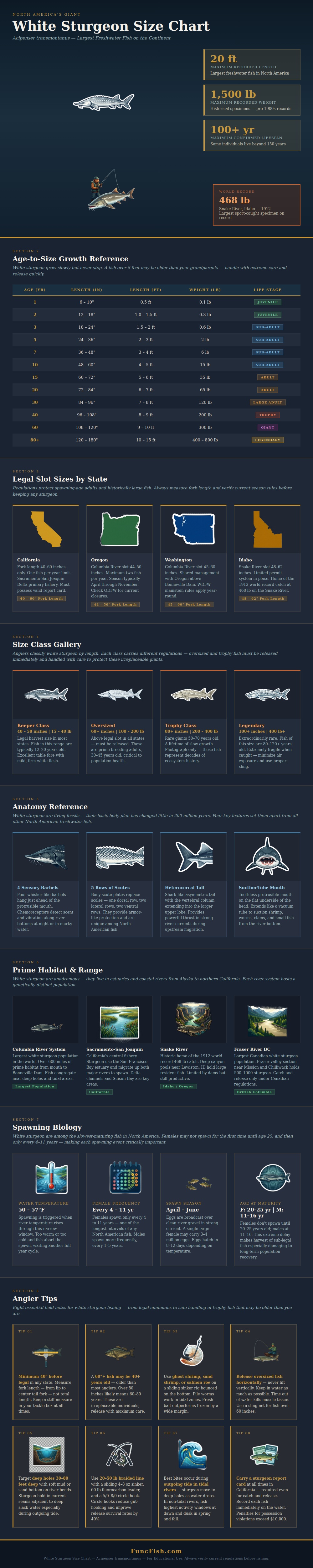 White Sturgeon Size Chart