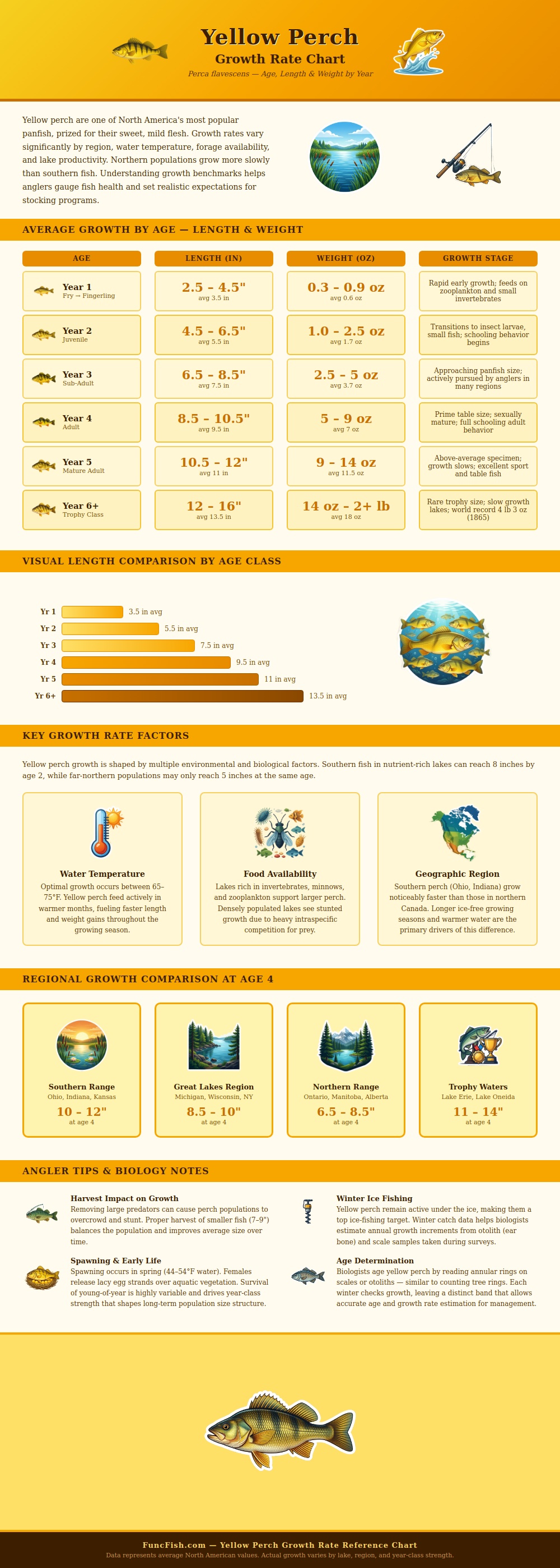 Yellow Perch Growth Rate Chart
